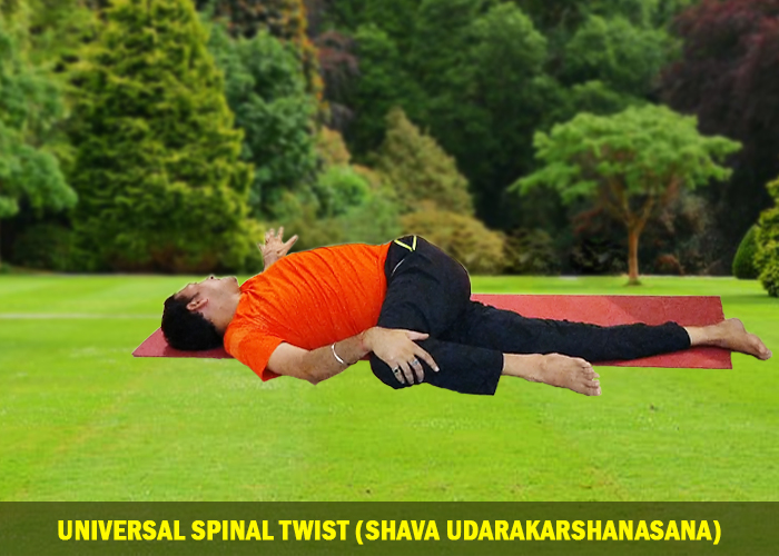 Universal Spinal Twist