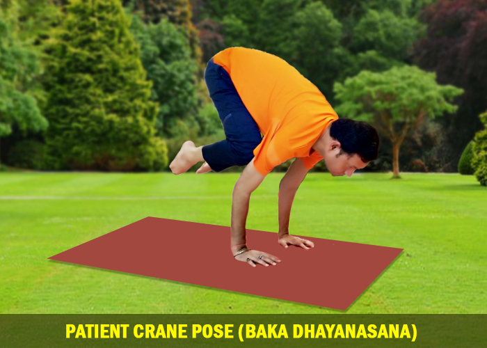 Patient Crane Pose