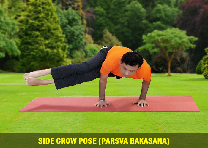 Side Crow Pose