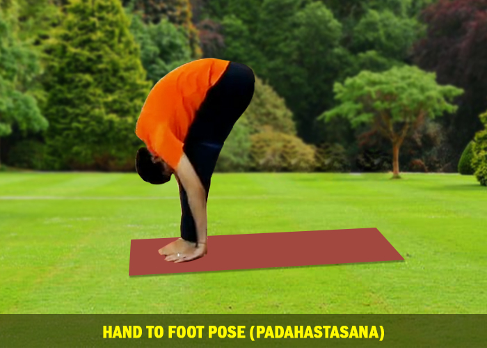 Hand To Foot Pose