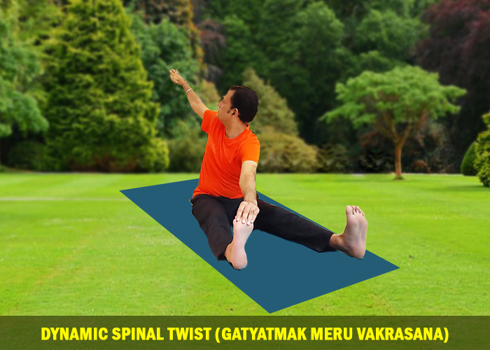 Dynamic Spinal Twist