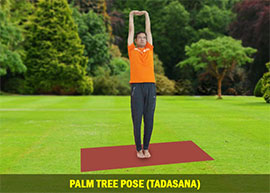 Palm Tree Pose