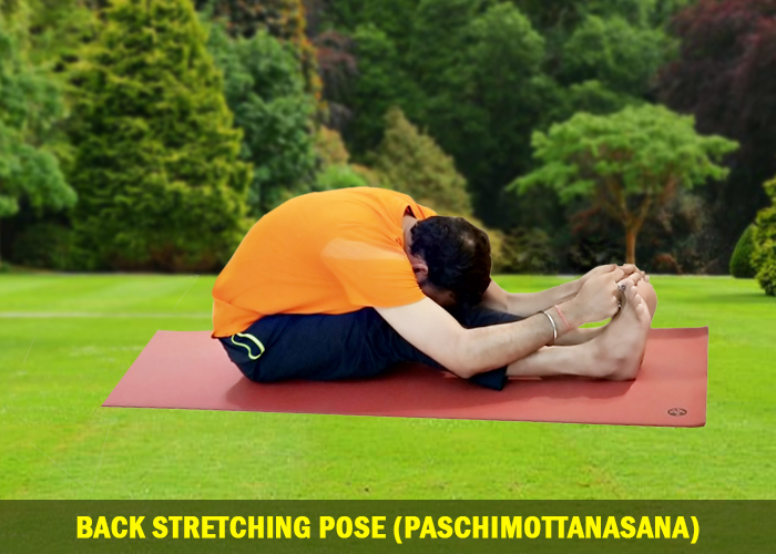 Back Stretching Pose