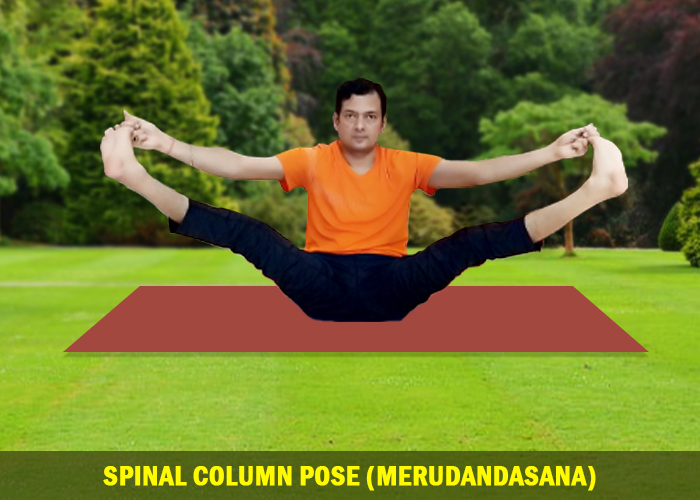 Spinal Column Pose