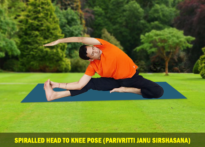 Spiralled Head To Knee Pose