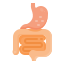 Digestive Disorders